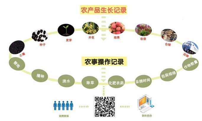 二维码防伪溯源系统的工作原理是什么?实际应用中能解决哪些问题?
