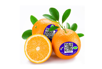 系统开发-水果质量追溯系统开发价格/厂家/批发-广东正品防伪
